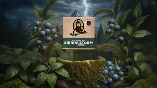 SIERRA STORM - US 6447
