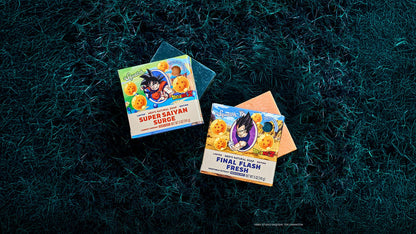 DRAGON BALL Z DUO - US 8706