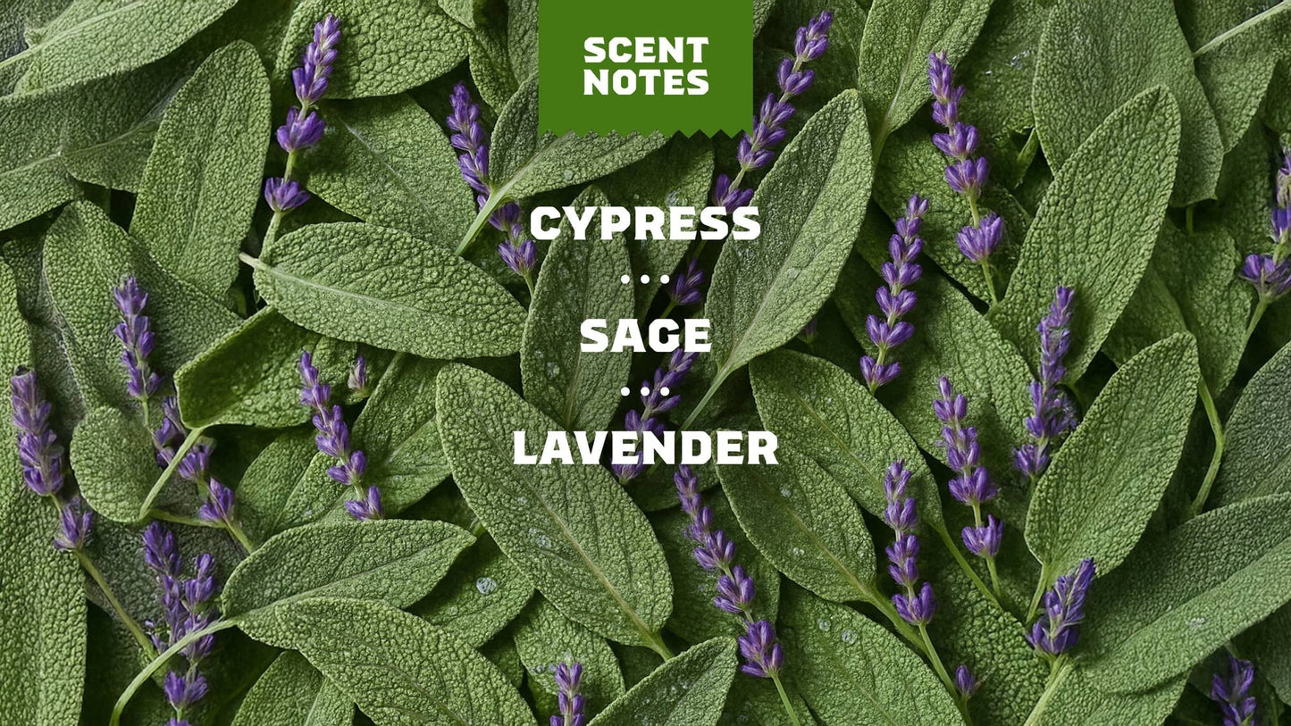 ALPINE SAGE - US 2605