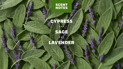 ALPINE SAGE - US 2605