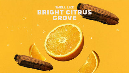 SUMMER CITRUS - US 2610